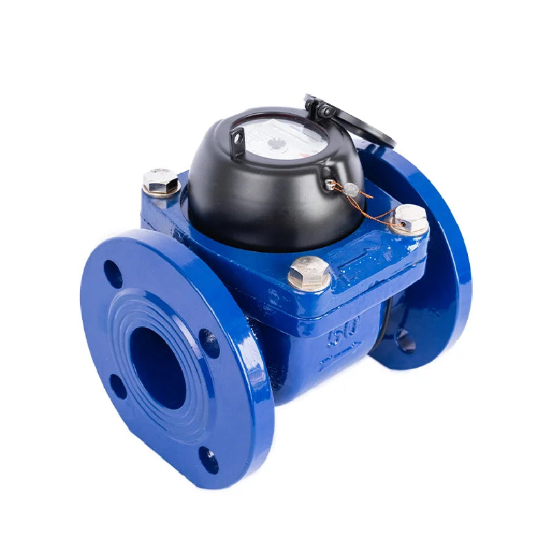 Infinity Eco Class B Bulk Water Meter 200mm