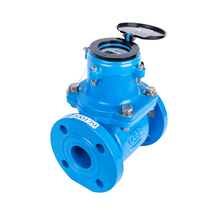 EMS Hybrid Class C Water Meter 250mm