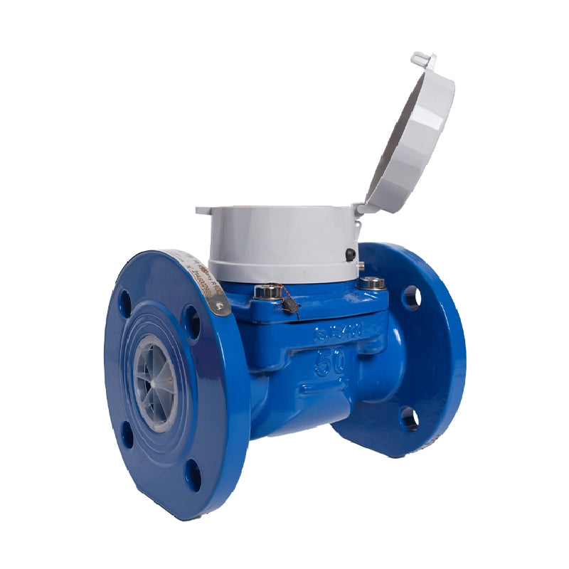 Infinity Evo Class C Bulk Water Meter 200mm